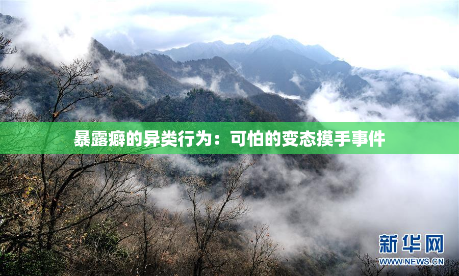 暴露癖的异类行为：可怕的变态摸手事件