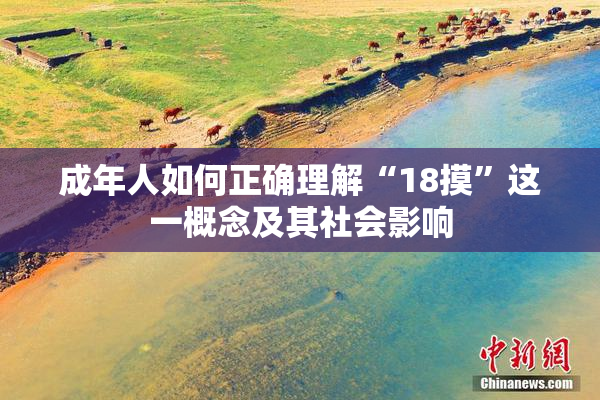 成年人如何正确理解“18摸”这一概念及其社会影响