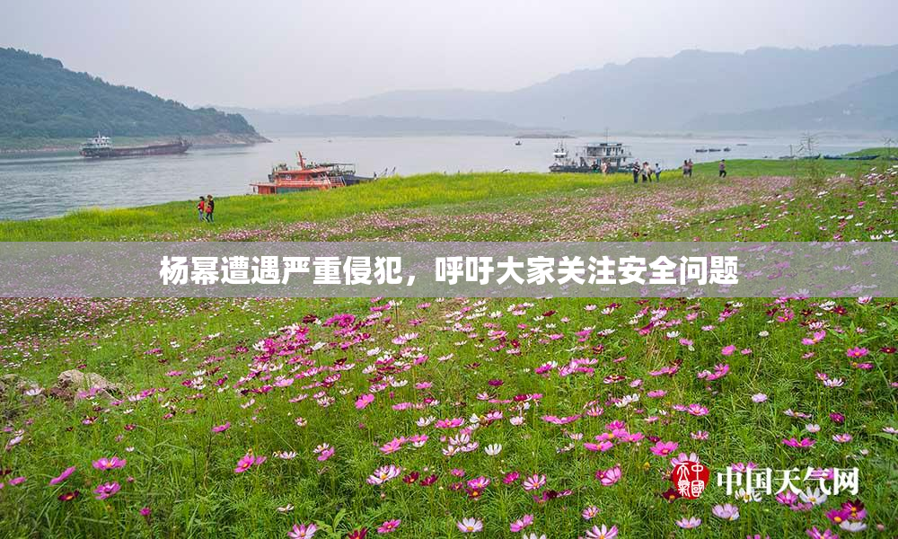 杨幂遭遇严重侵犯，呼吁大家关注安全问题
