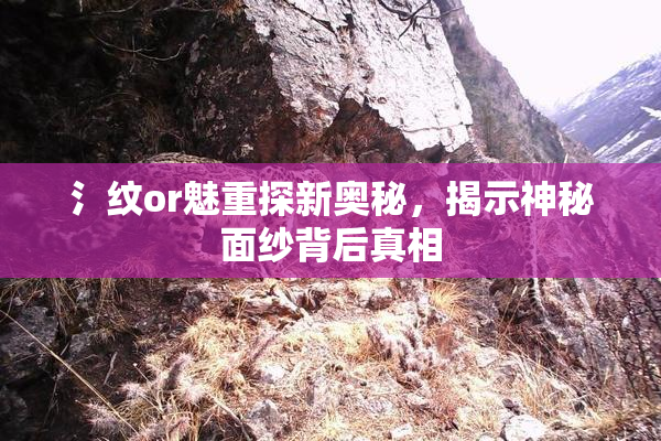 氵纹or魅重探新奥秘，揭示神秘面纱背后真相