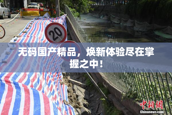 无码国产精品，焕新体验尽在掌握之中！