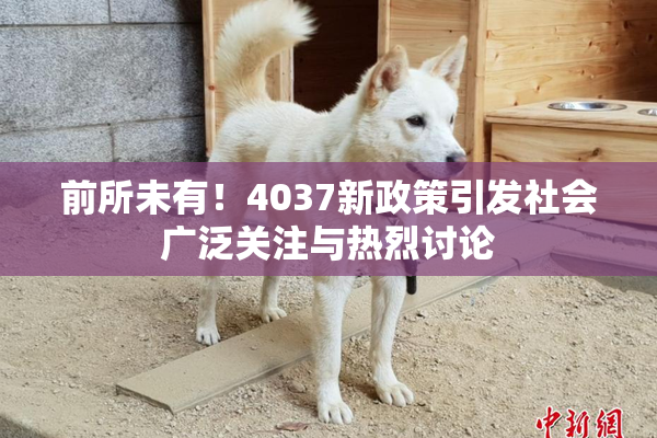 前所未有！4037新政策引发社会广泛关注与热烈讨论