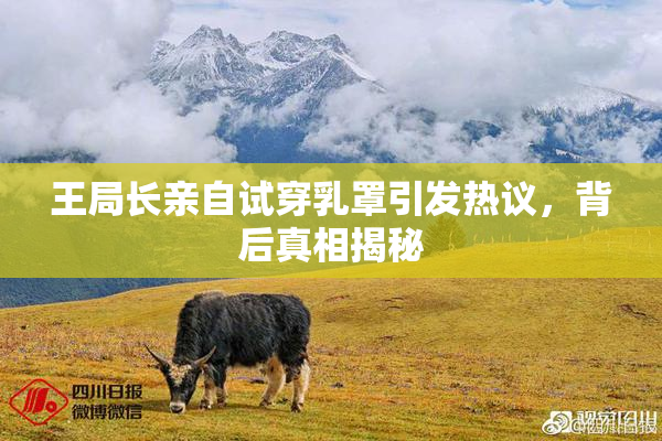 王局长亲自试穿乳罩引发热议，背后真相揭秘