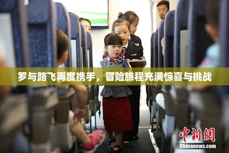 罗与路飞再度携手，冒险旅程充满惊喜与挑战