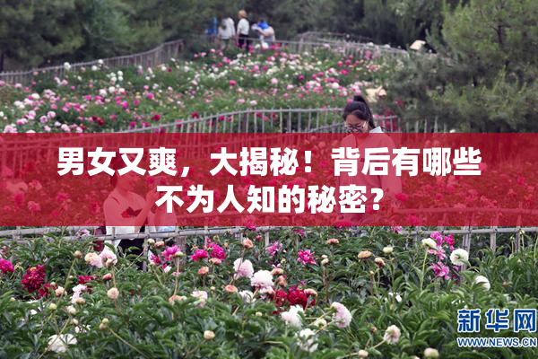 男女又爽，大揭秘！背后有哪些不为人知的秘密？