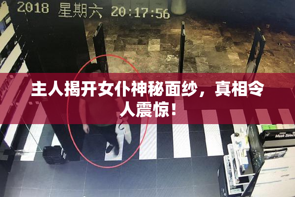 主人揭开女仆神秘面纱，真相令人震惊！