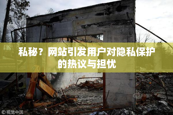 私秘？网站引发用户对隐私保护的热议与担忧