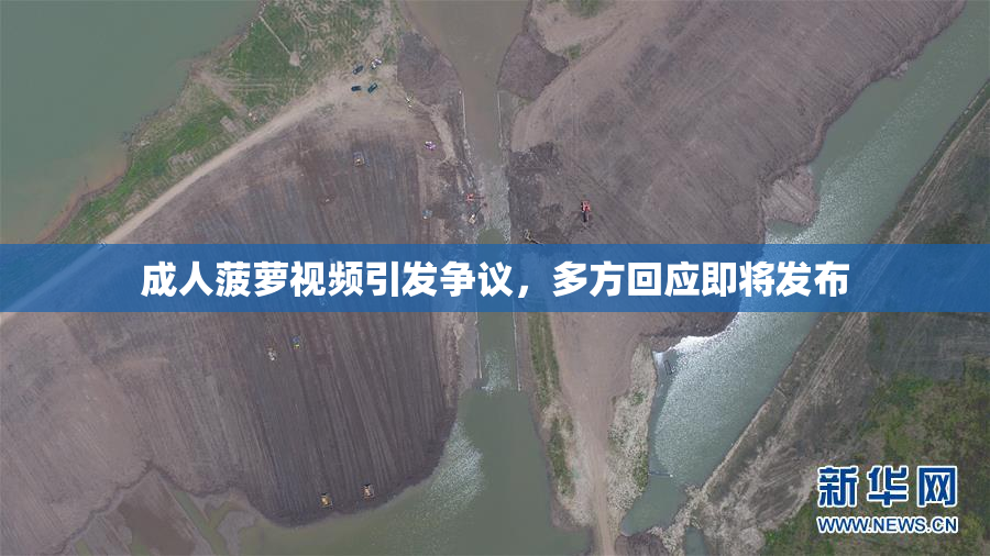 成人菠萝视频引发争议，多方回应即将发布