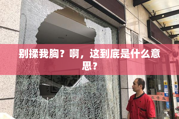 别揉我胸？啊，这到底是什么意思？