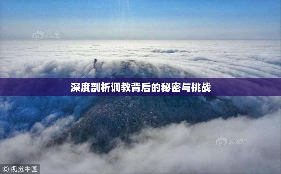 深度剖析调教背后的秘密与挑战