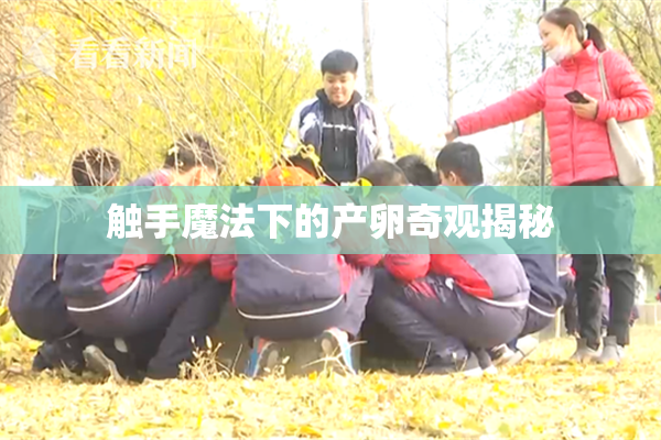 触手魔法下的产卵奇观揭秘