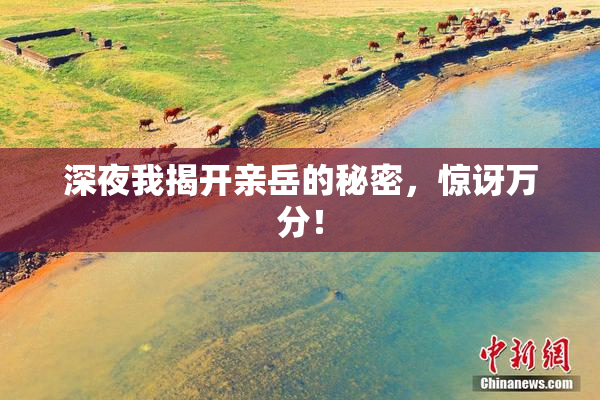 深夜我揭开亲岳的秘密，惊讶万分！