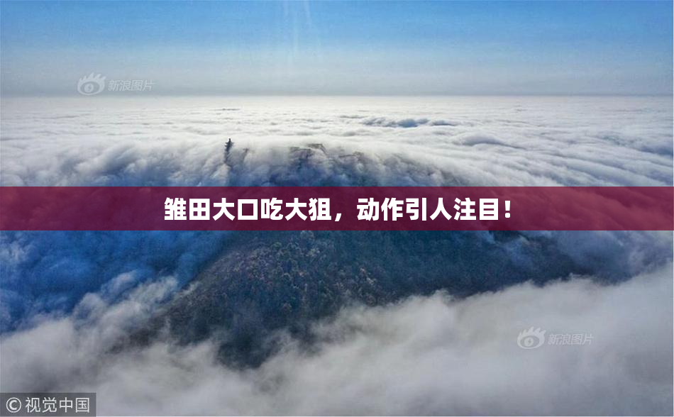 雏田大口吃大狙，动作引人注目！