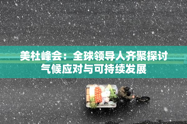 美杜峰会：全球领导人齐聚探讨气候应对与可持续发展