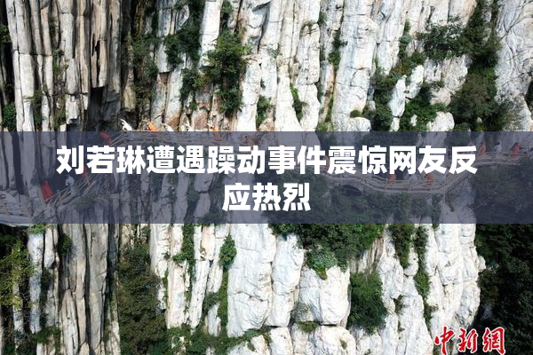 刘若琳遭遇躁动事件震惊网友反应热烈
