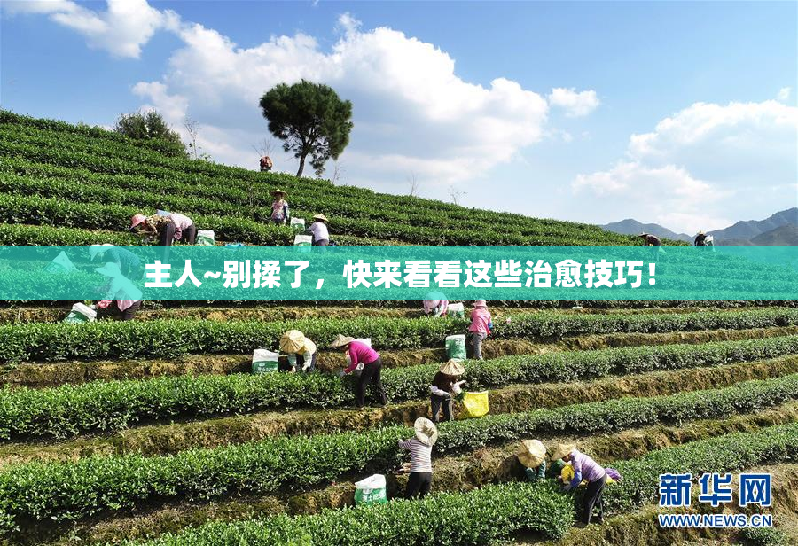 主人~别揉了，快来看看这些治愈技巧！