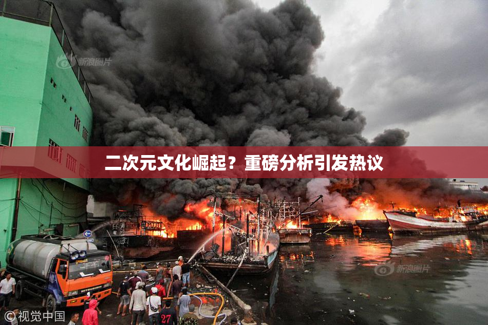 二次元文化崛起？重磅分析引发热议