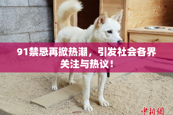 91禁忌再掀热潮，引发社会各界关注与热议！
