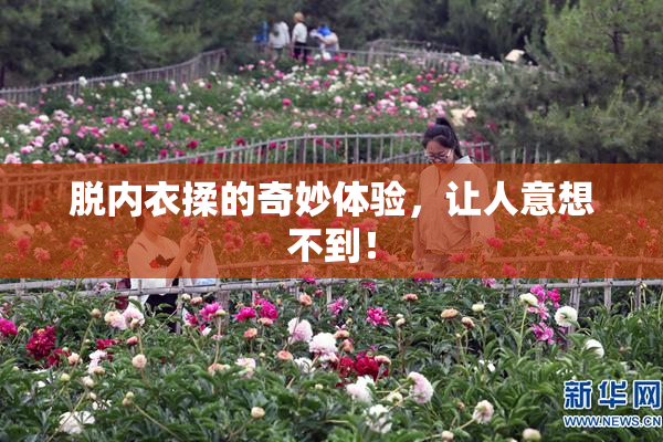 脱内衣揉的奇妙体验，让人意想不到！