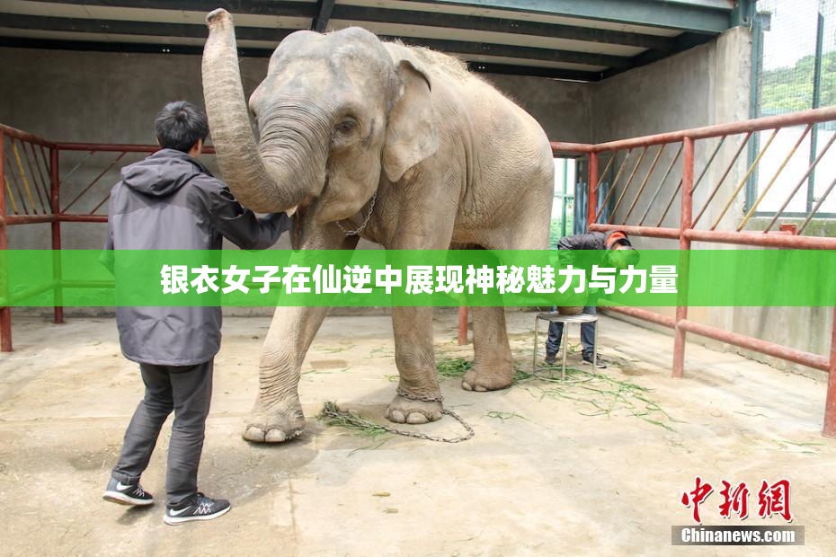 银衣女子在仙逆中展现神秘魅力与力量