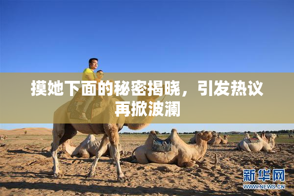 摸她下面的秘密揭晓，引发热议再掀波澜