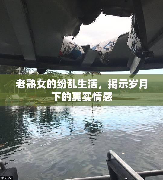 老熟女的纷乱生活，揭示岁月下的真实情感