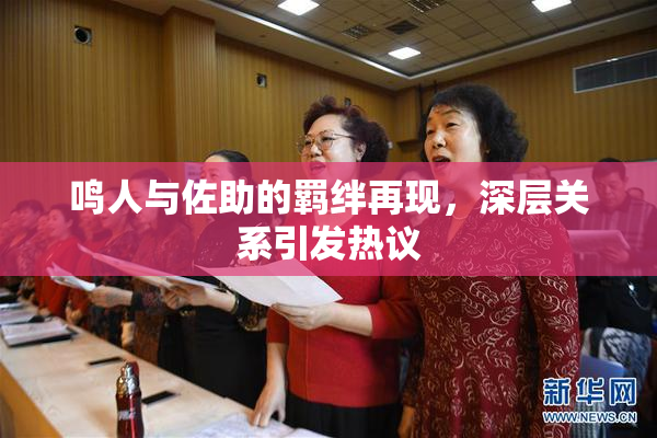 鸣人与佐助的羁绊再现，深层关系引发热议