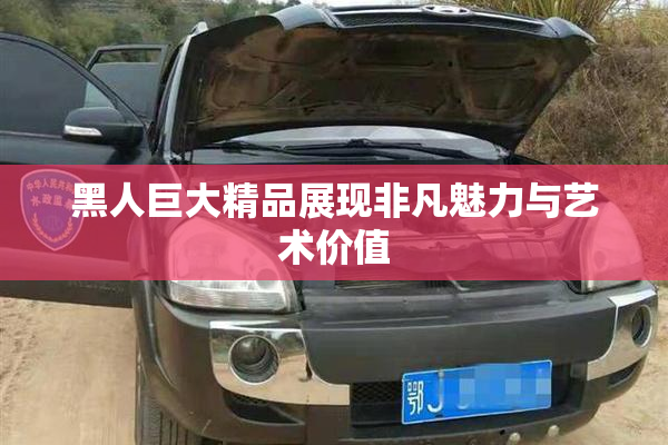 黑人巨大精品展现非凡魅力与艺术价值