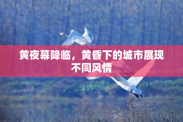 黄夜幕降临，黄昏下的城市展现不同风情
