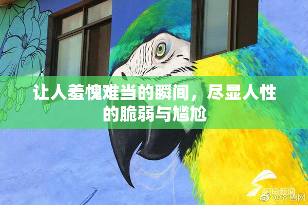 让人羞愧难当的瞬间，尽显人性的脆弱与尴尬