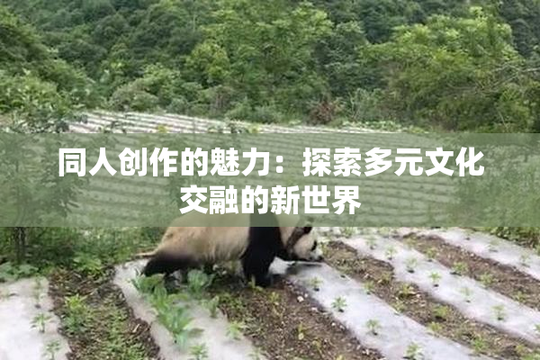 同人创作的魅力：探索多元文化交融的新世界