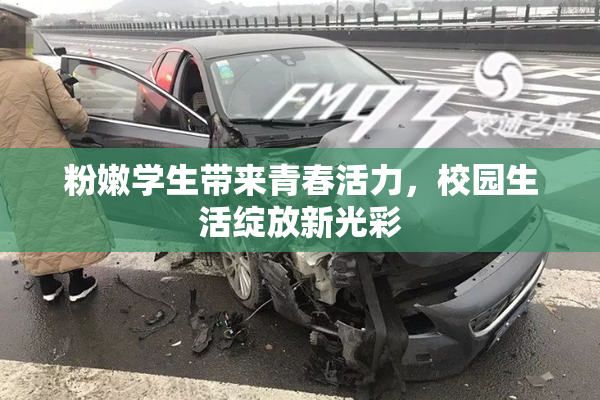 粉嫩学生带来青春活力，校园生活绽放新光彩