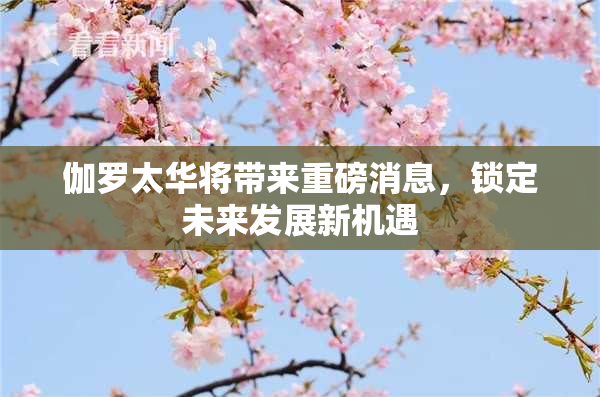 伽罗太华将带来重磅消息，锁定未来发展新机遇