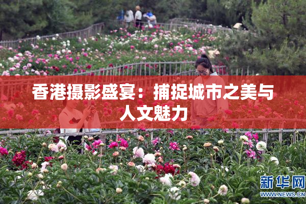 香港摄影盛宴：捕捉城市之美与人文魅力