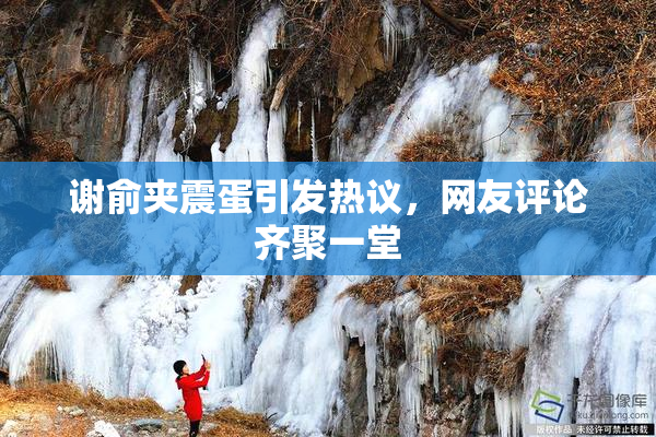 谢俞夹震蛋引发热议，网友评论齐聚一堂