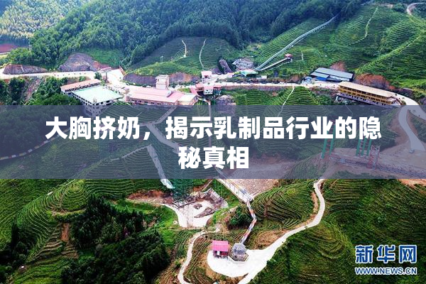 大胸挤奶，揭示乳制品行业的隐秘真相