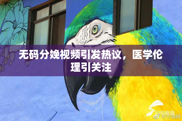 无码分娩视频引发热议，医学伦理引关注