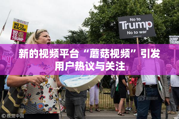 新的视频平台“蘑菇视频”引发用户热议与关注