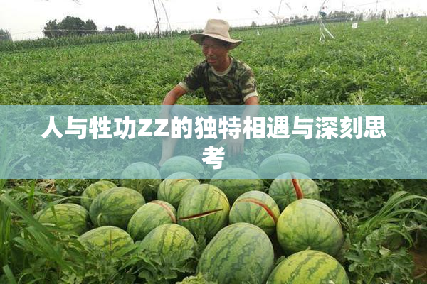 人与牲功ZZ的独特相遇与深刻思考
