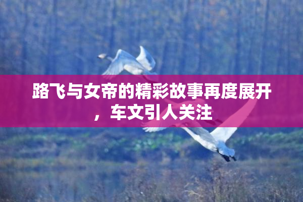 路飞与女帝的精彩故事再度展开，车文引人关注
