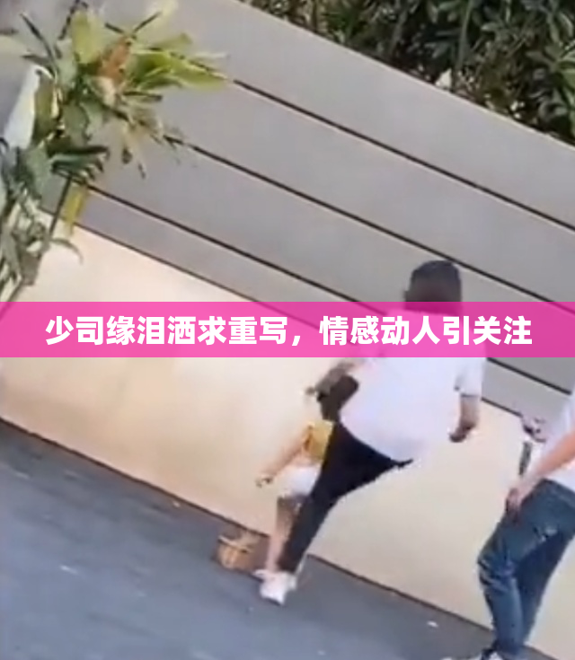 少司缘泪洒求重写，情感动人引关注