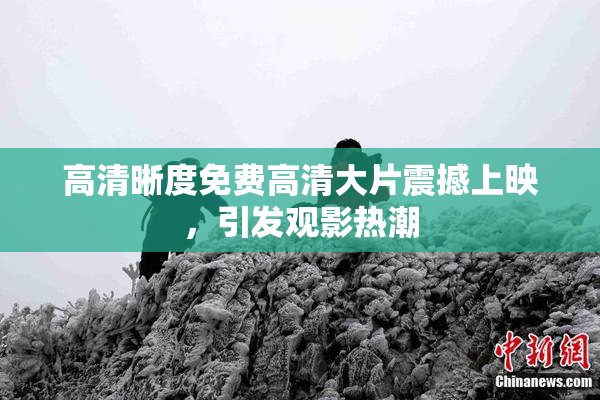 高清晰度免费高清大片震撼上映，引发观影热潮