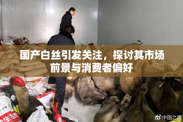 国产白丝引发关注，探讨其市场前景与消费者偏好