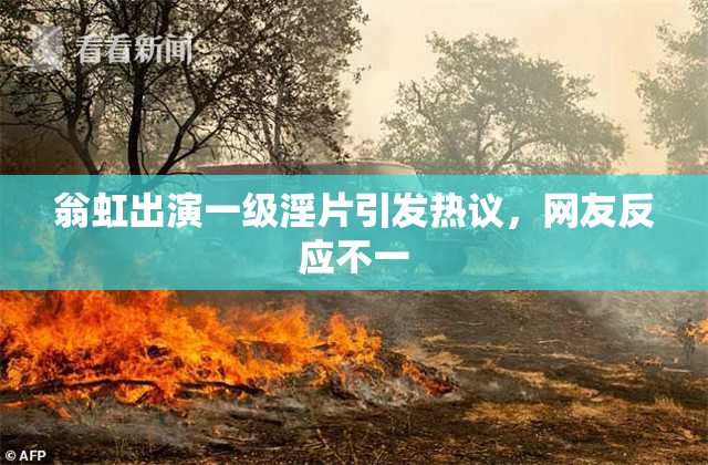 翁虹出演一级淫片引发热议，网友反应不一