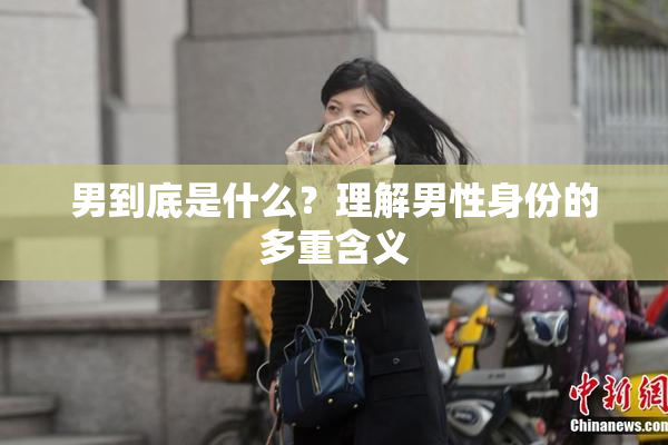 男到底是什么？理解男性身份的多重含义