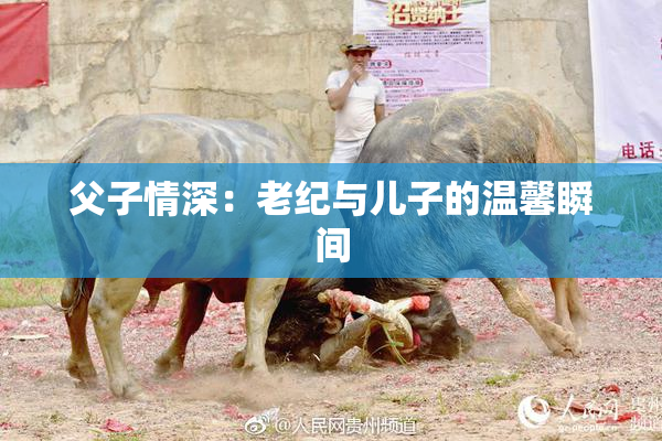 父子情深：老纪与儿子的温馨瞬间