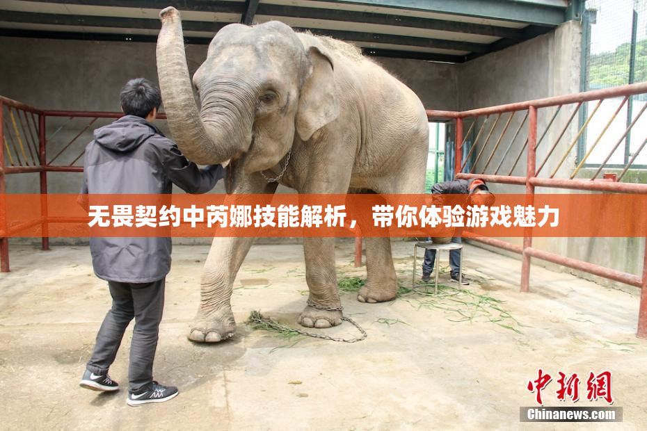无畏契约中芮娜技能解析，带你体验游戏魅力