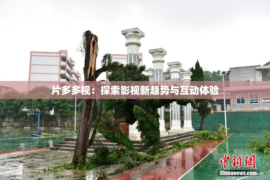 片多多视：探索影视新趋势与互动体验