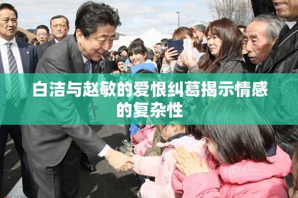 白洁与赵敏的爱恨纠葛揭示情感的复杂性