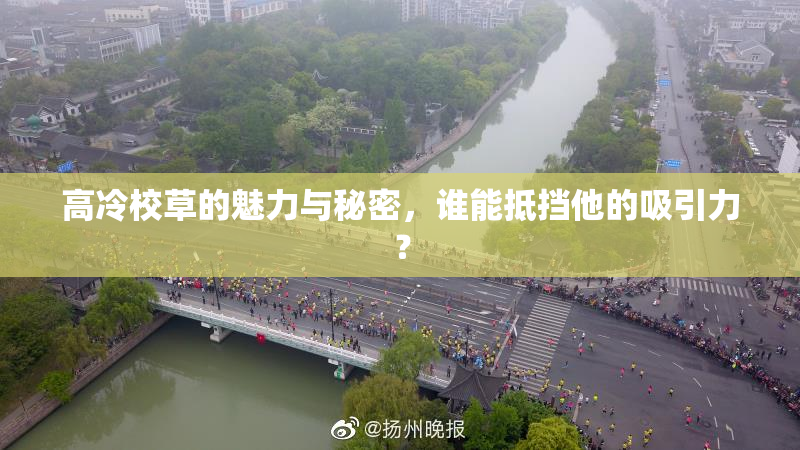 高冷校草的魅力与秘密，谁能抵挡他的吸引力？